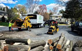 Best Tree and Shrub Care  in Putnam Lake, NY