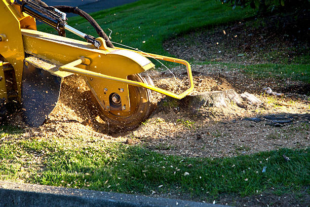 Best Aeration Services  in Putnam Lake, NY